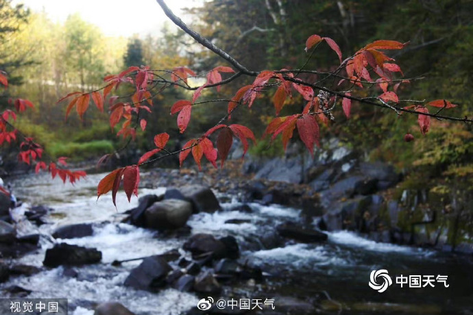 入秋进程图揭秘，季节变迁的奥秘与魅力探索