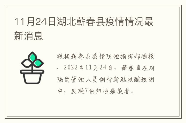 湖北蕲春最新新闻概览