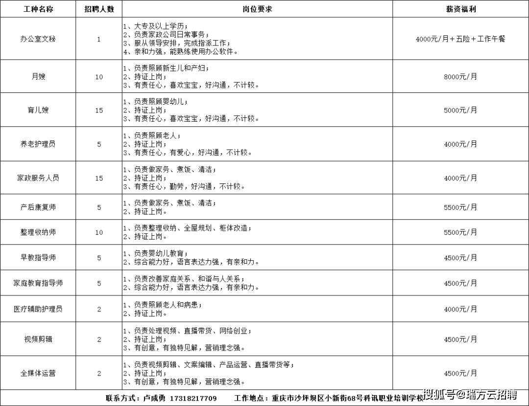 沙坪最新招聘动态及其社会影响概览