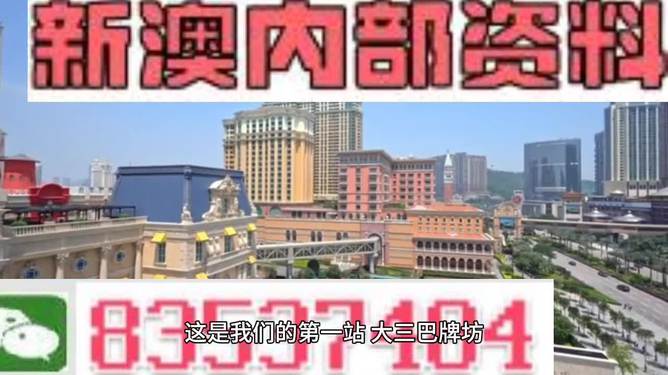 2024新澳门正版免费资料,效率解答解释落实_T91.900