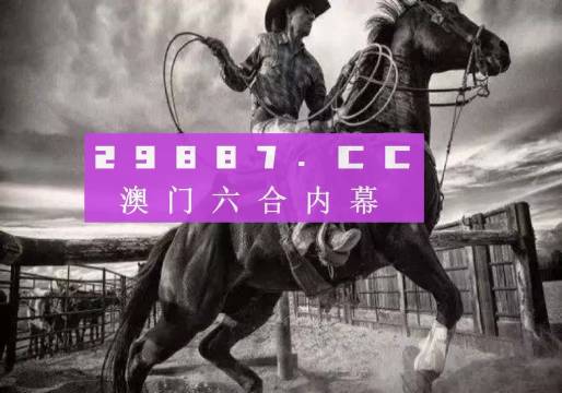 2024新澳门正版免费资本车资料,专业解析说明_标配版36.736