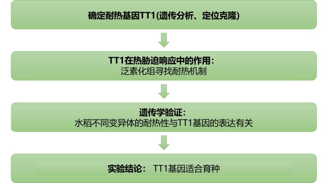 新奥正版免费资料大全,安全性方案设计_基础版22.981