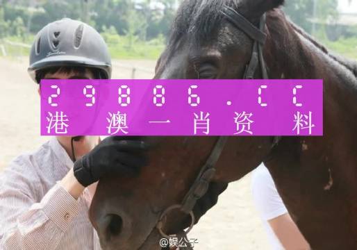 澳门今晚必中一肖一码准确9995,最新核心解答落实_AR版7.672