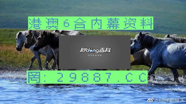 澳门马买马网站com,实时解析说明_基础版77.96