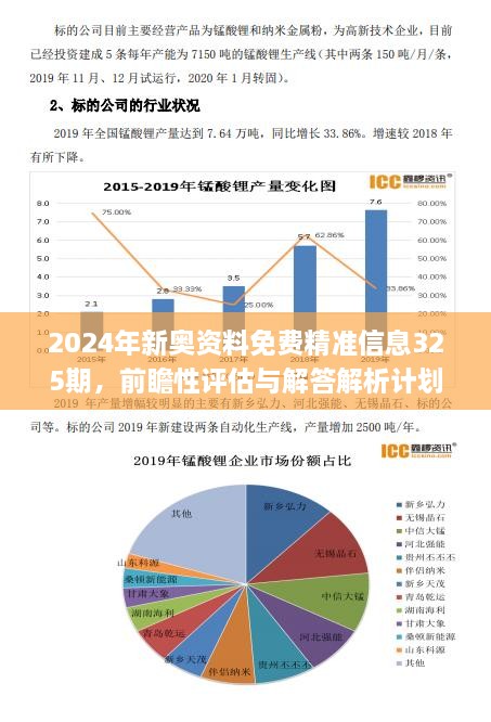 2024新奥资料免费精准061,实地数据分析方案_特别款12.382