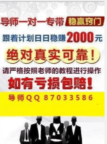 新澳门2024天天彩管家婆资料,深入解析应用数据_MR74.265