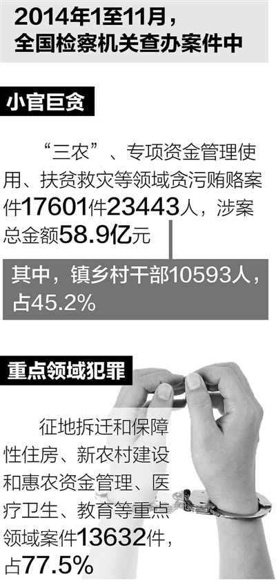 最新贪贿犯罪现象深度解析报告