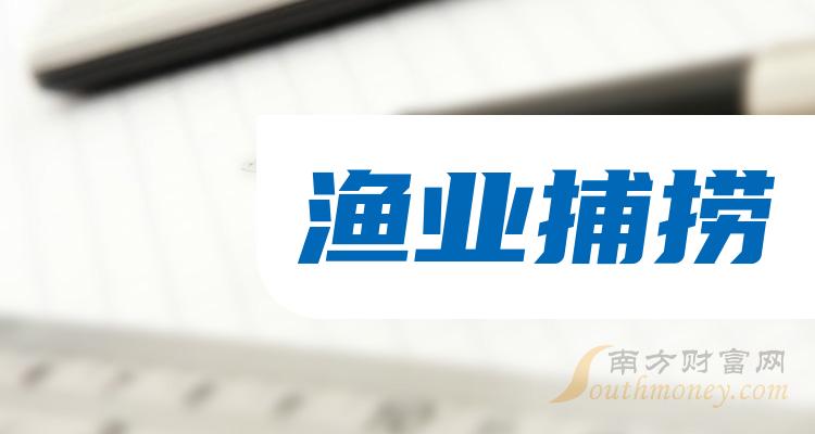 中水渔业最新动态全面解析