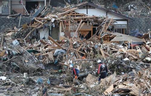 大庆地震最新动态，全面解读及应对之策