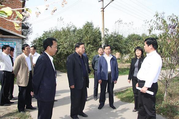 漯河刘国勤最新动态，杰出领导者引领地方发展之路