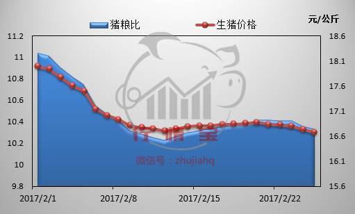 最新猪价行情走势分析与预测