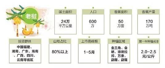 老挝香蕉价格行情最新分析