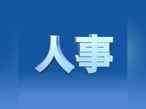 中央最新人事任免公布，国家发展人才新布局启动