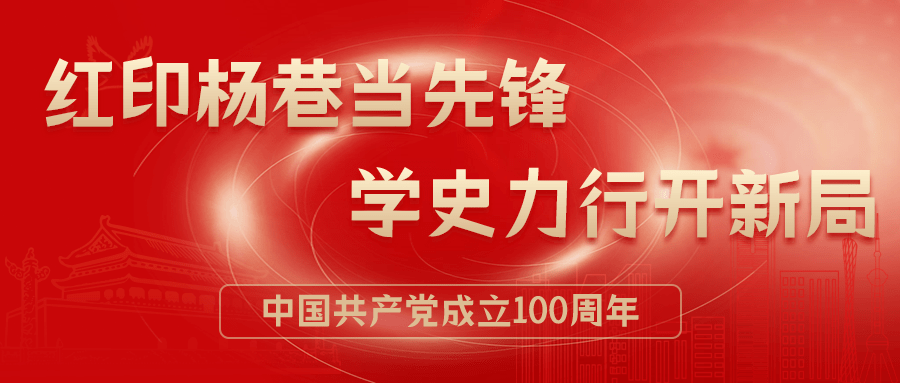 杨巷镇政府最新公告，推动发展，致力服务民生