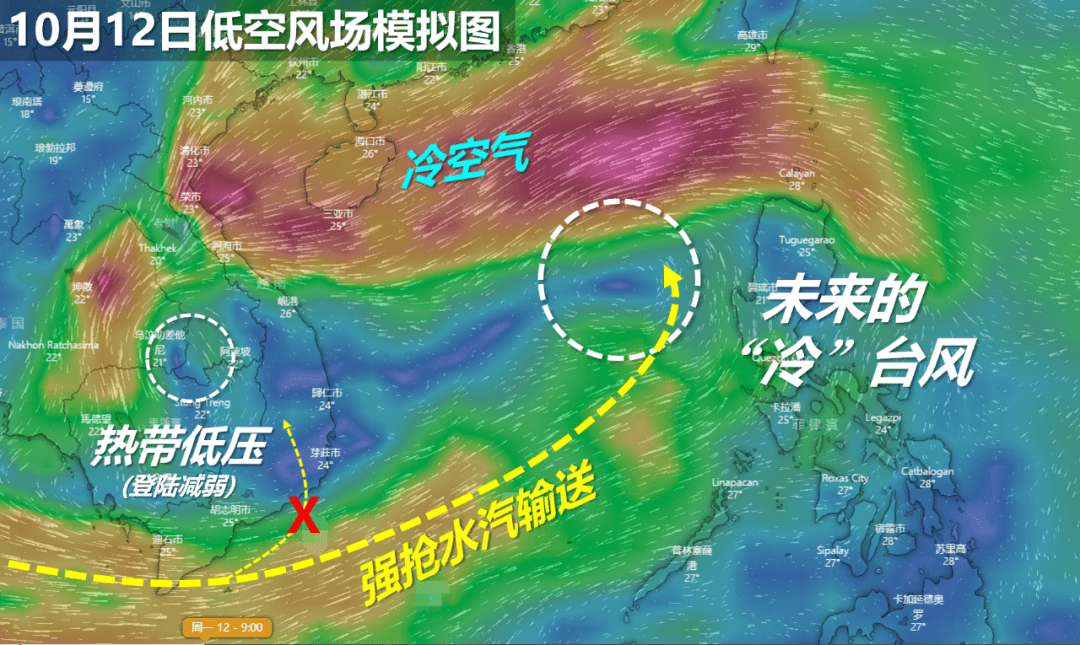 莲花台风最新动态，实时分析、应对策略及影响展望