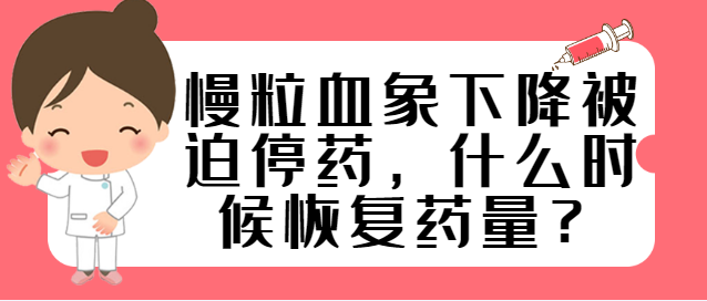 慢粒停药最新进展，突破带来希望