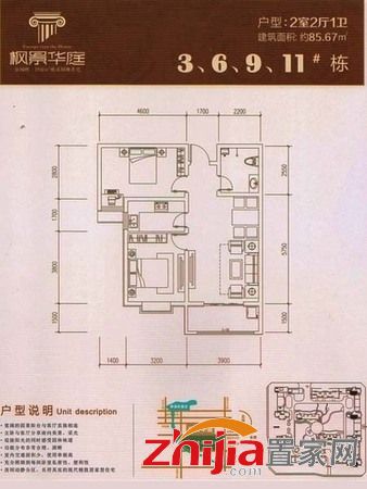 枫景华庭内部最新动态揭秘