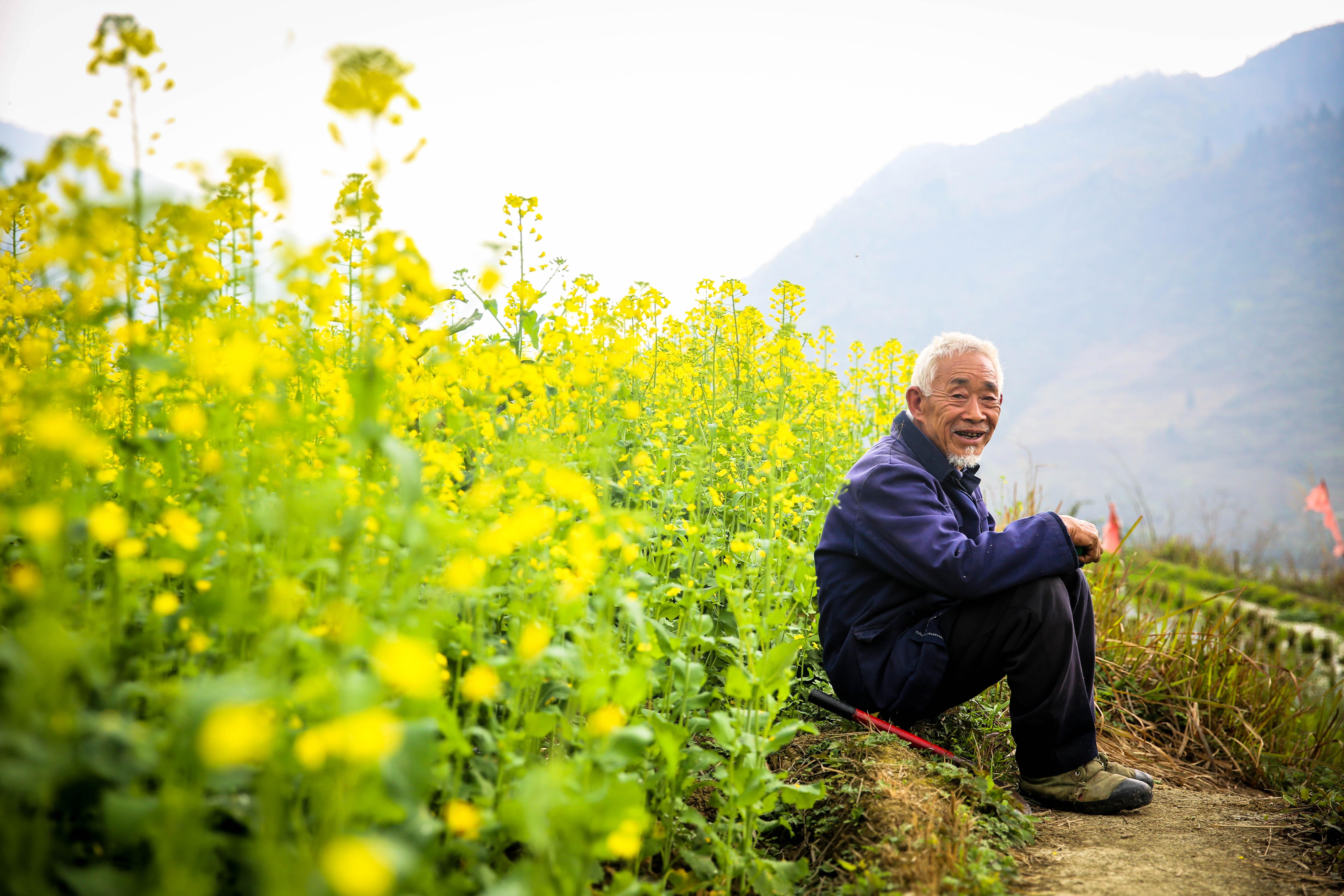 中天金融股吧最新评论深度解读与分析