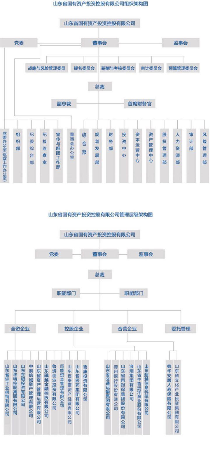 河南远洋担保最新动态全面解析