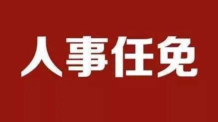 云南官员任免最新消息深度解读，人事变动背后的故事