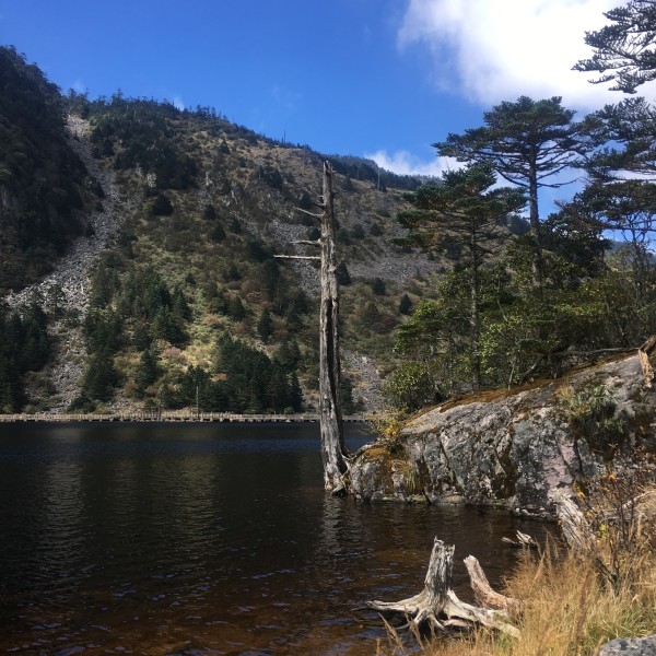 西昌至螺髻山路况最新报告