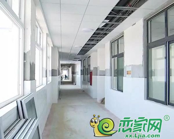 振中路小学最新动态报道