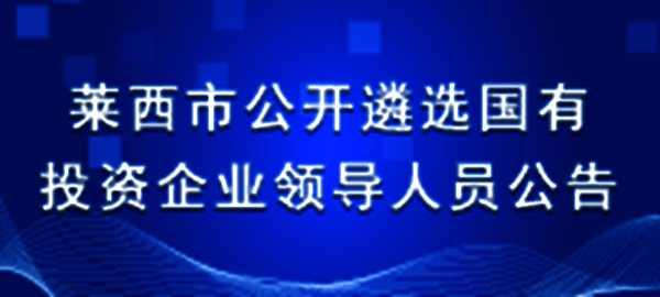 莱西驾驶员招聘热点，职业前景、需求分析与应聘攻略