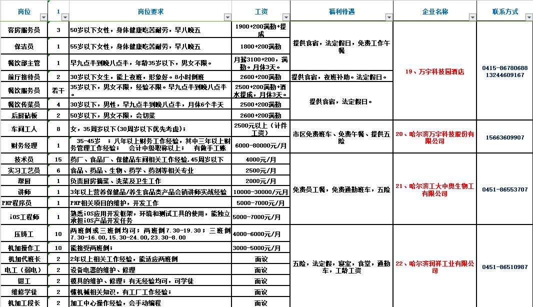 棚户区改造项目招聘启事概览