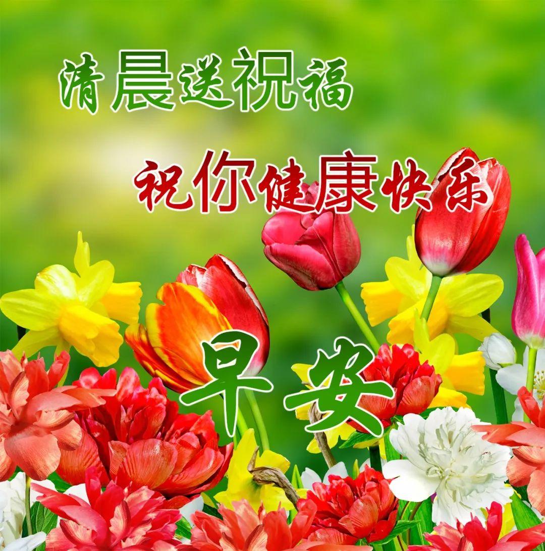 最新广场舞，共享欢乐时光的朋友聚会