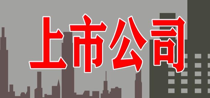 最新上市公司崛起与面临的挑战，市场新动力探究