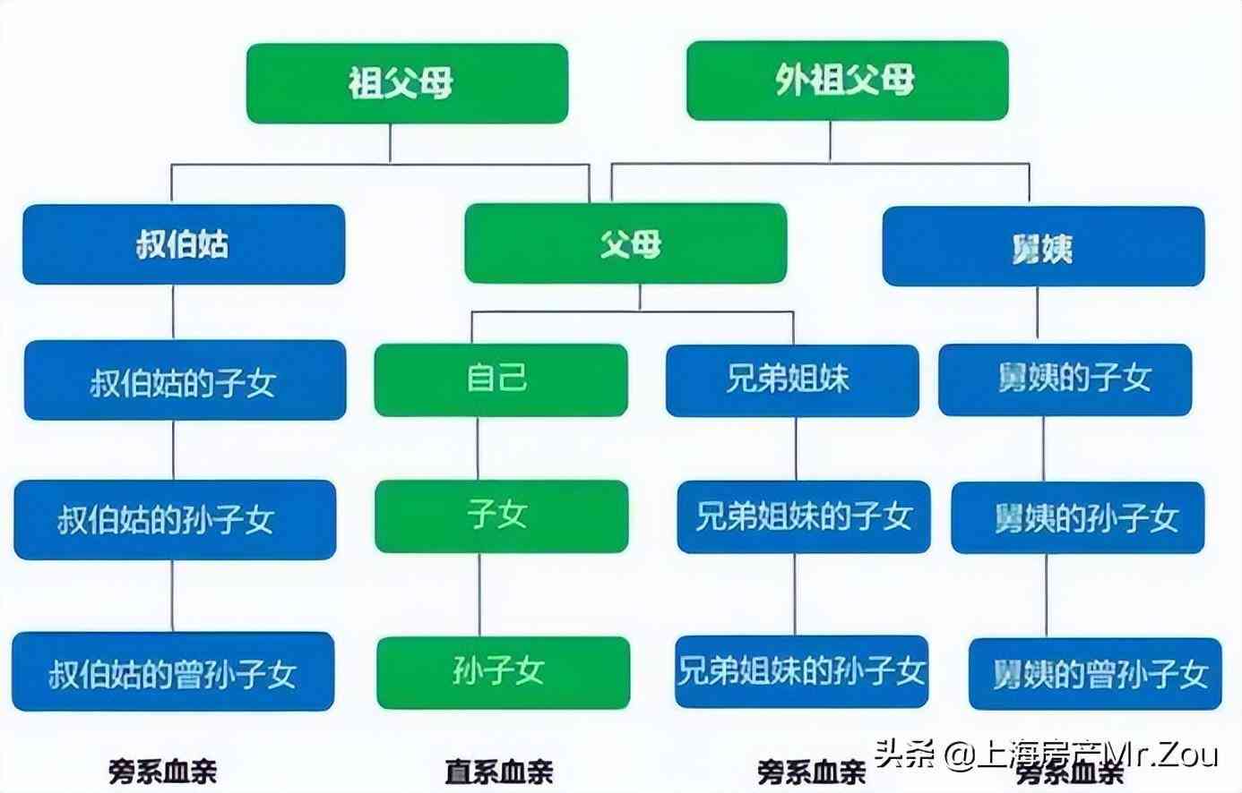 最新法律直系亲属，重塑社会公正与责任链