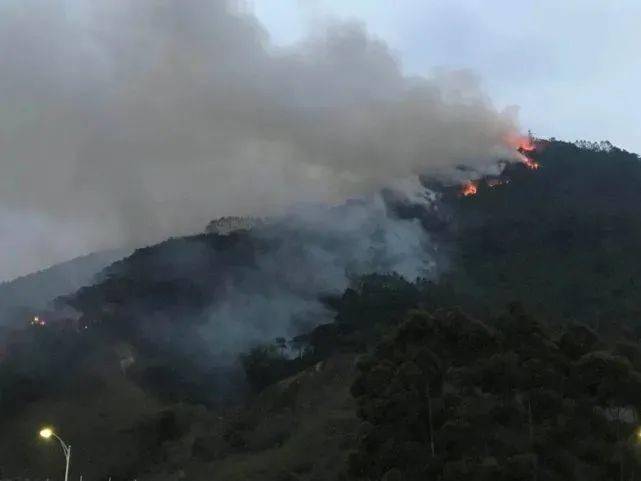 肇庆山火最新视频，火线蔓延与紧急救援的较量现场直击