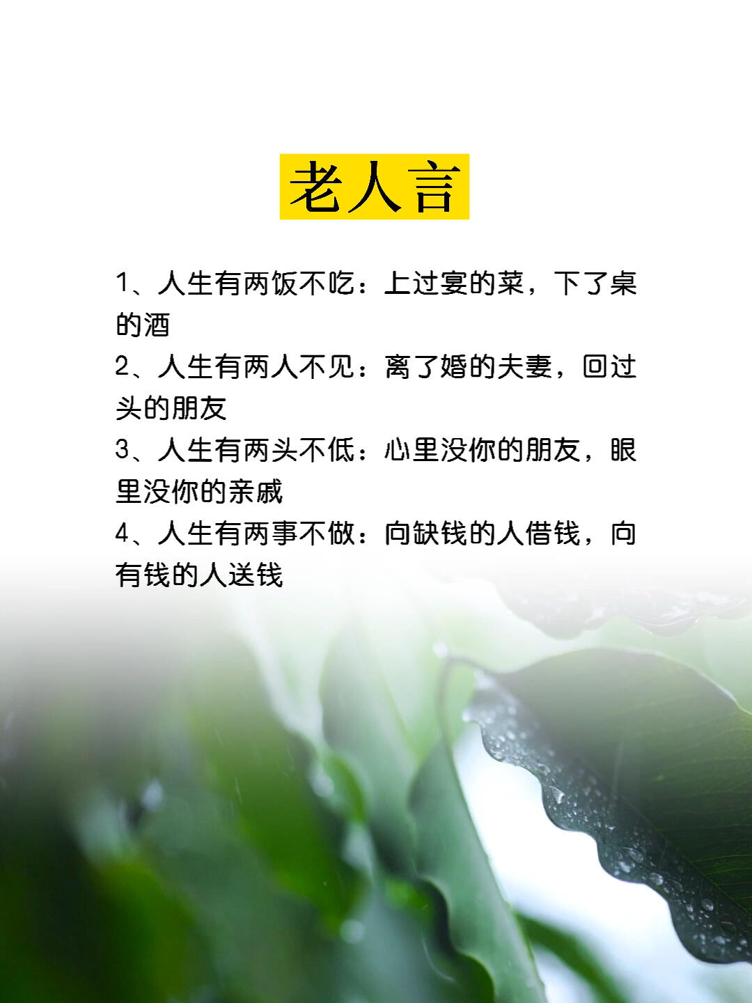 深度洞察生活，最新老人言中的智慧与经验分享