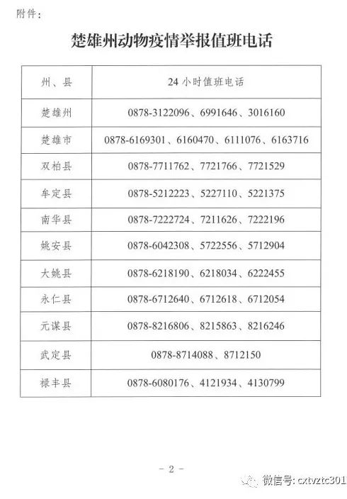 楚雄最新病毒深度解析与应对策略