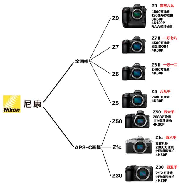 尼康全画幅技术革新下的摄影体验革新