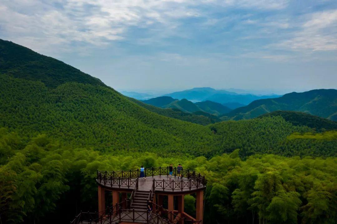 杭州王位山，自然美景与人文魅力的融合探秘之旅