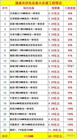 最新财报项目深度剖析报告