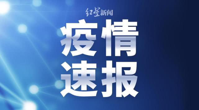 荆门肺炎最新情况全面解析及应对措施