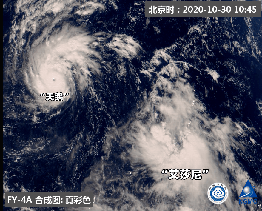 天鹅台风最新动态，影响及应对策略