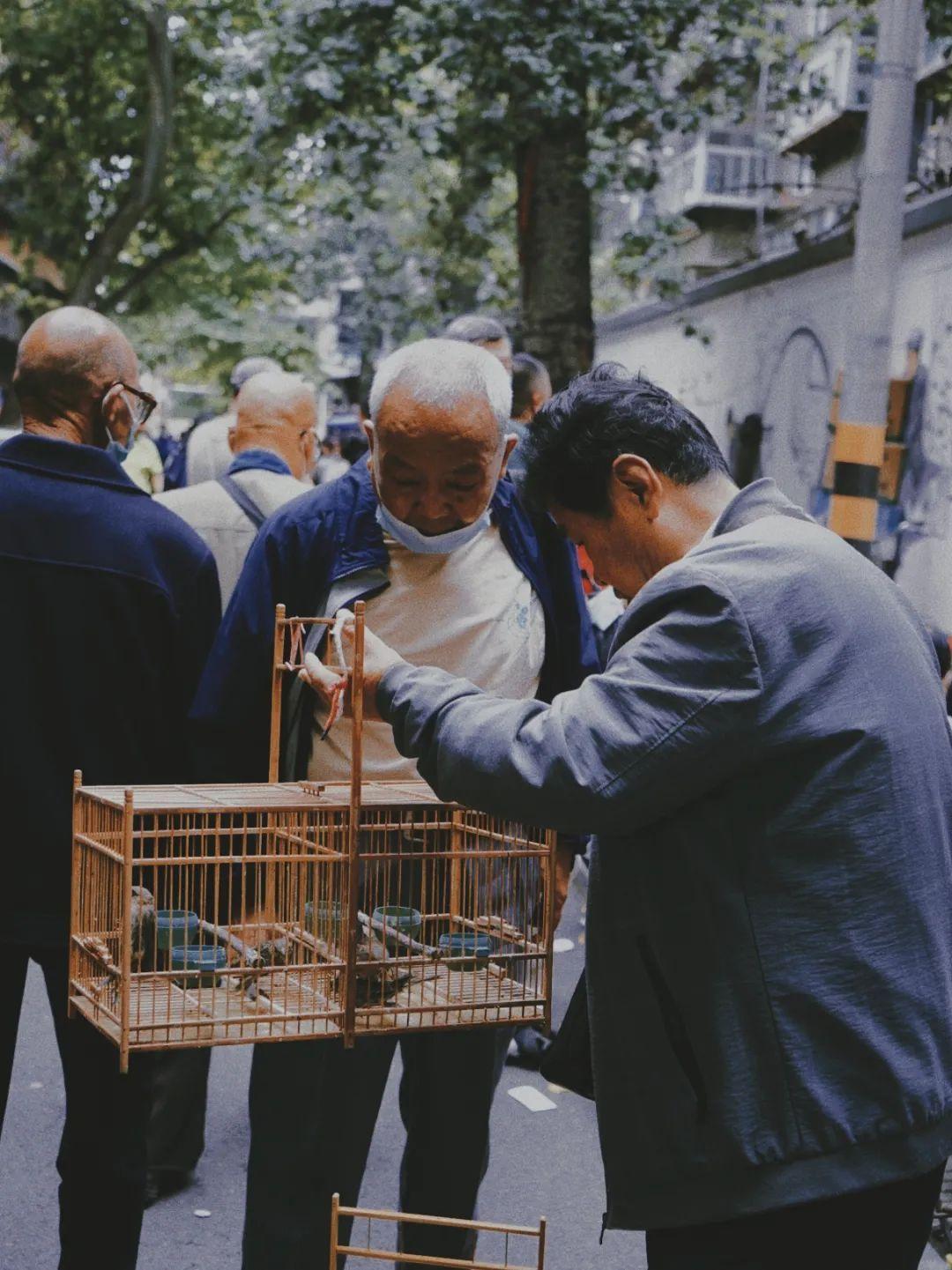 西安人流新动态，城市脉搏与人文变迁的交融