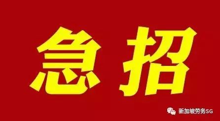 武安最新发展动态，城市脉搏跳动，急招人才高峰涌现