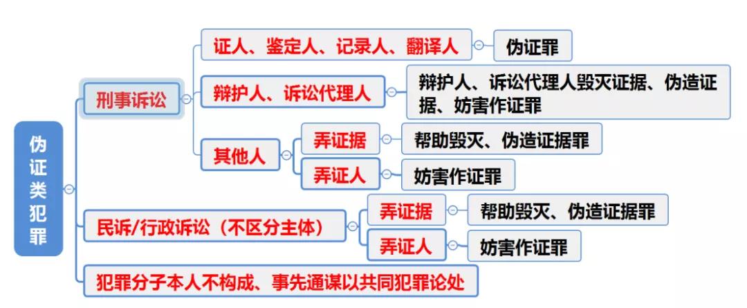 蒋四金的世界探索及其影响力揭秘