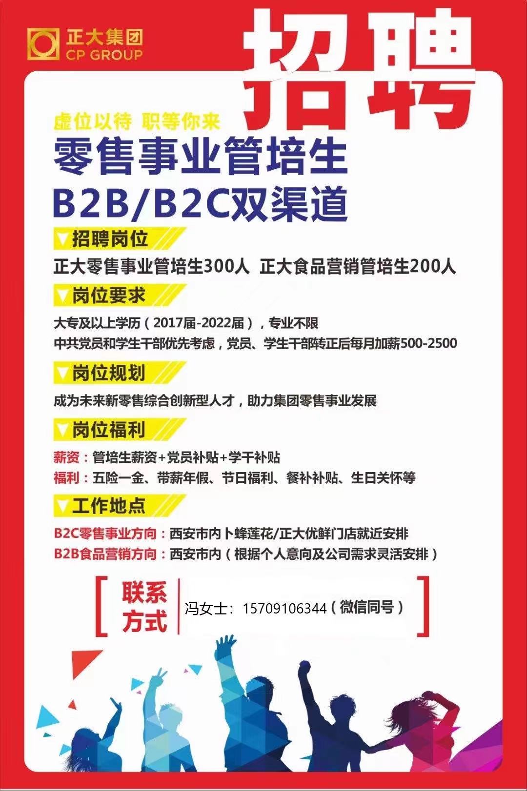 最新公司招聘信息概览，探寻职业发展的理想平台