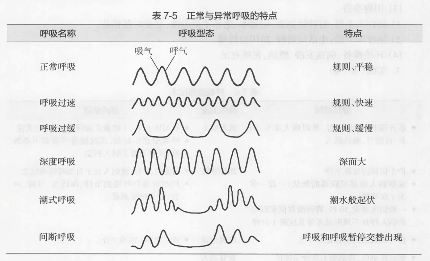 探索呼吸健康新境界，最新正常呼吸之道