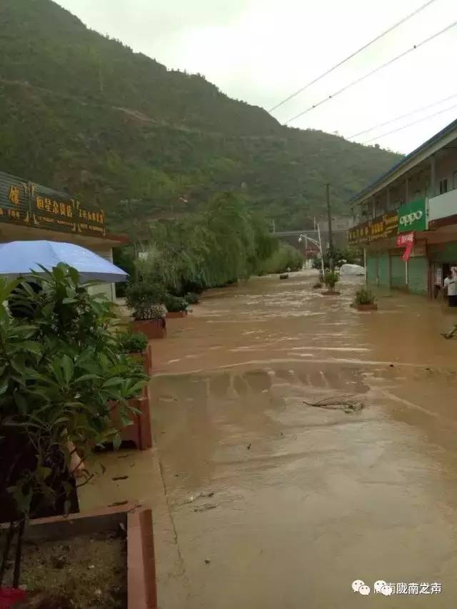 凤县暴雨最新灾情报告，灾害状况与应对措施分析