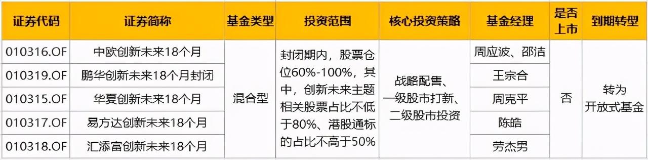 蚂蚁配售基金最新动态，深度解析及前景展望