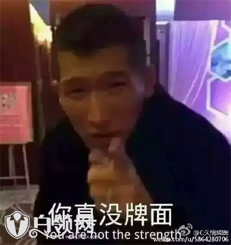 狗磊直播，探索真实与娱乐的交融界限