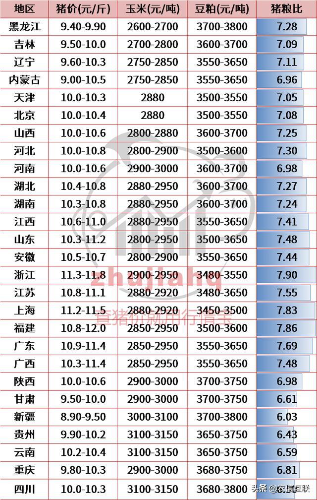 最新猪价表与影响因素深度解析