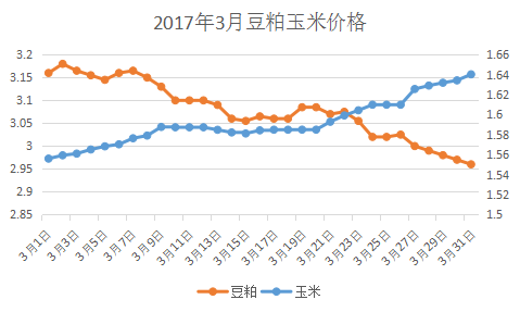 玉米豆粕最新价格走势动态分析