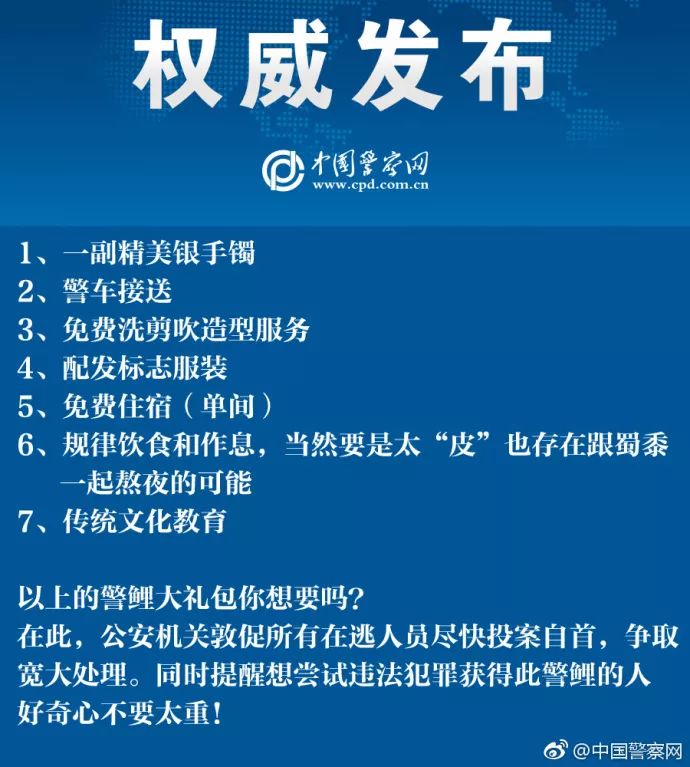 探索现代警务新趋势与新概念，最新公安新词解读